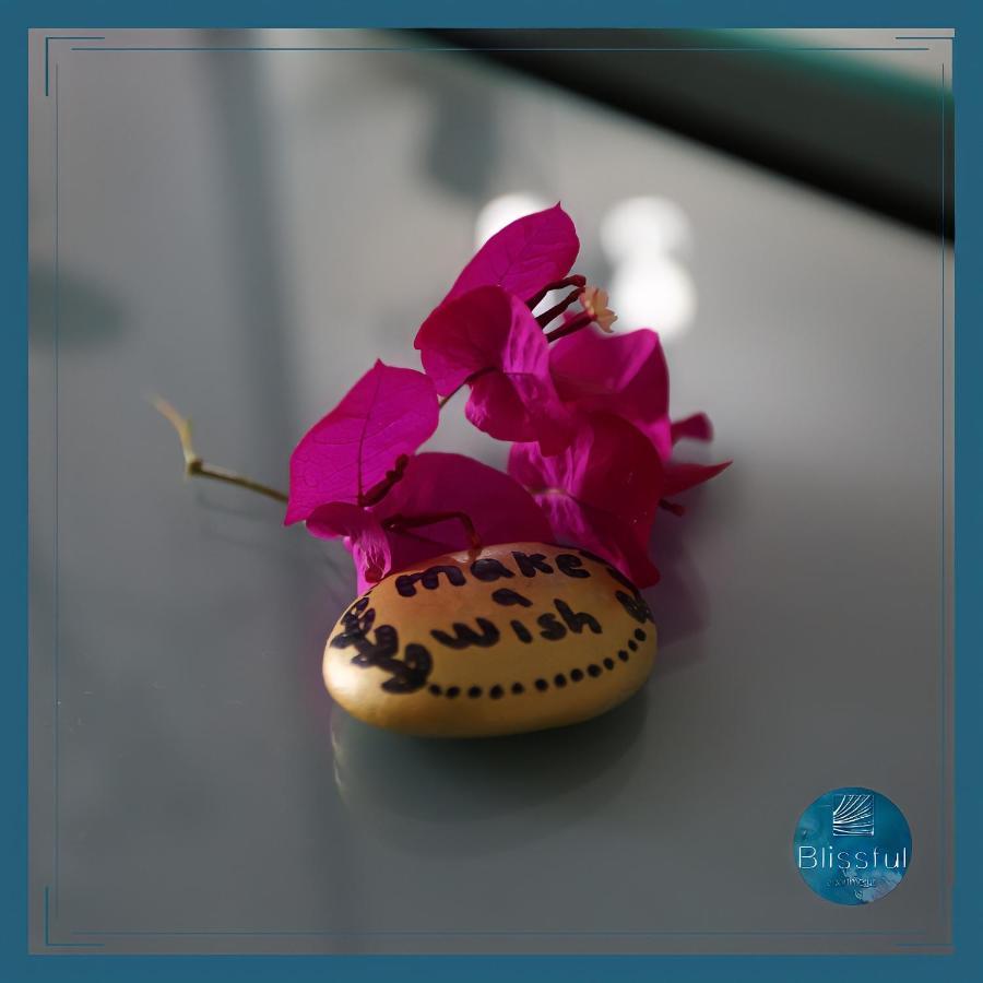 סרנדה Blissful Apartments מראה חיצוני תמונה